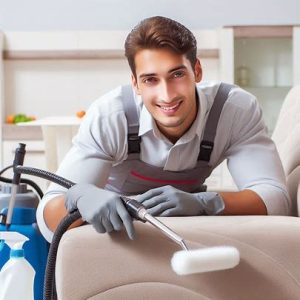 professional cleaner